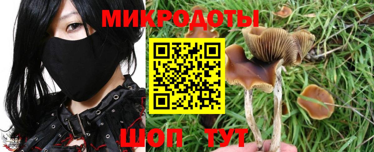 Псилоцибиновые грибы Cubensis  Галлюциногенные грибы Cubensis  Дедовск  Вход с VPN 